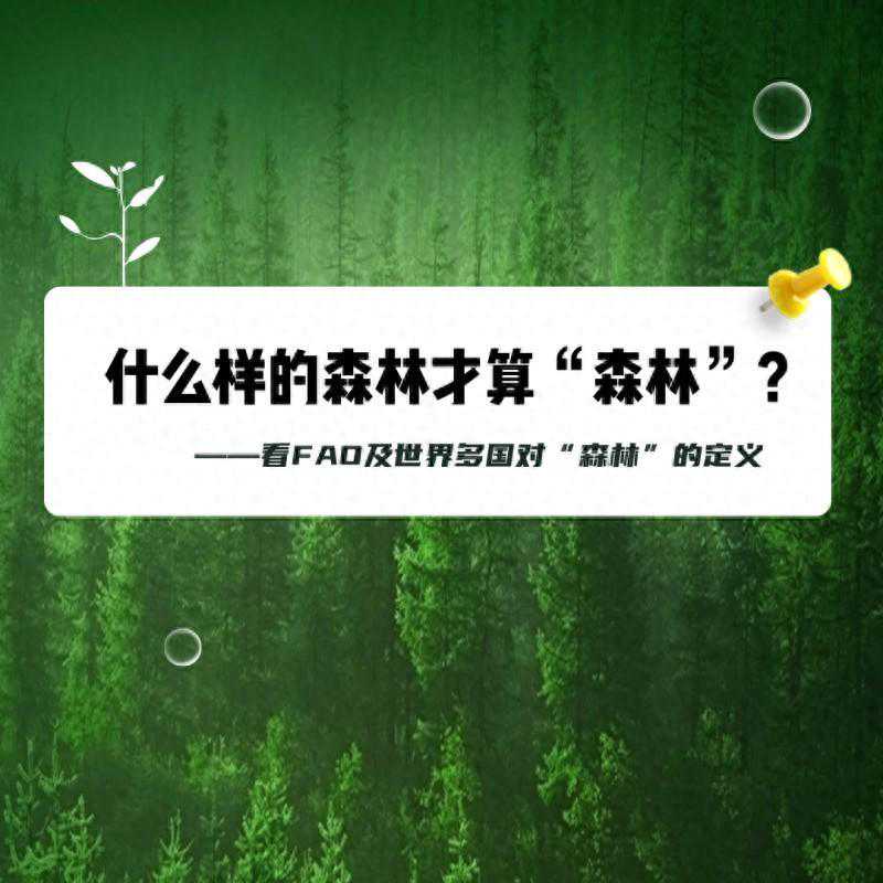 什么样的森林才算“森林”？——看FAO及世界多国对“森林”的定义