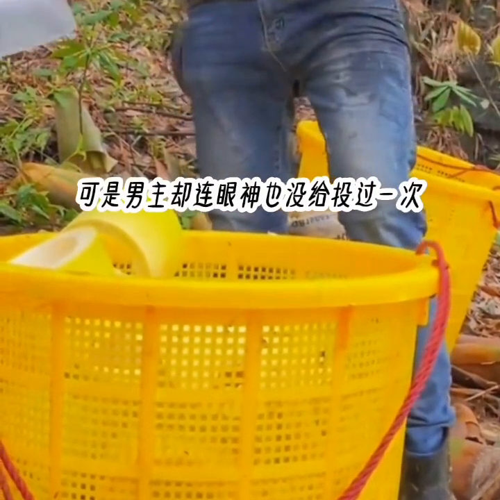 📖名《月隐狂道》#那年火遍全网的小说