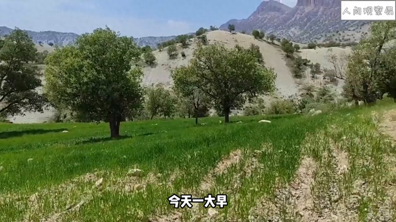 摄影师为吉斯提供帮助，找到失踪的希达，让母女重新团聚