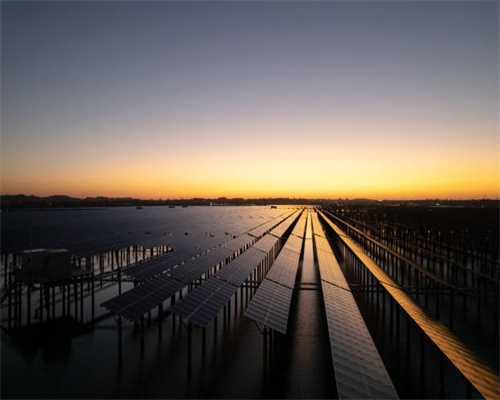 “御乾堂”高端精品红木家具杭州巡展在黄龙饭店举行